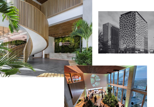 Spaces At The Spine Collage