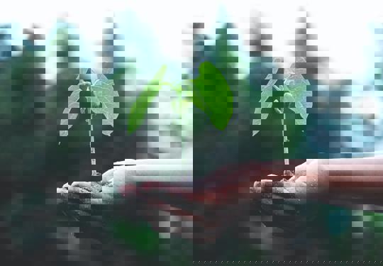 Microsoftteams Image (11)